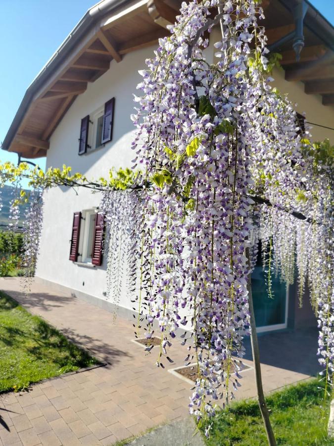 Agritur Lavanda Nave San Rocco Exterior photo